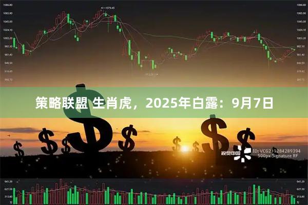 策略联盟 生肖虎，2025年白露：9月7日