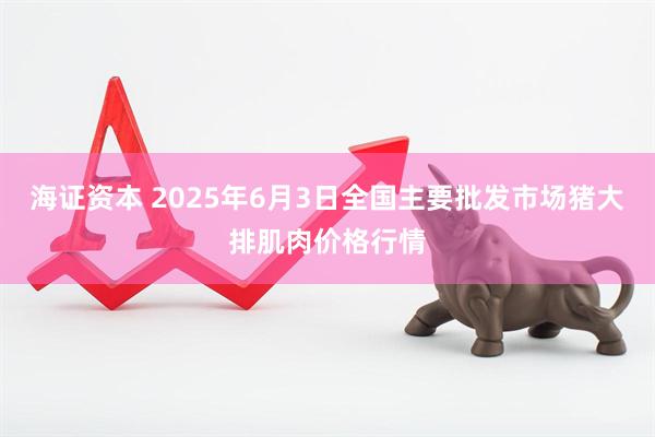 海证资本 2025年6月3日全国主要批发市场猪大排肌肉价格行情