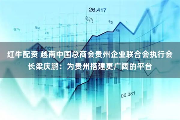 红牛配资 越南中国总商会贵州企业联合会执行会长梁庆鹏：为贵州搭建更广阔的平台
