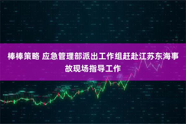 棒棒策略 应急管理部派出工作组赶赴江苏东海事故现场指导工作