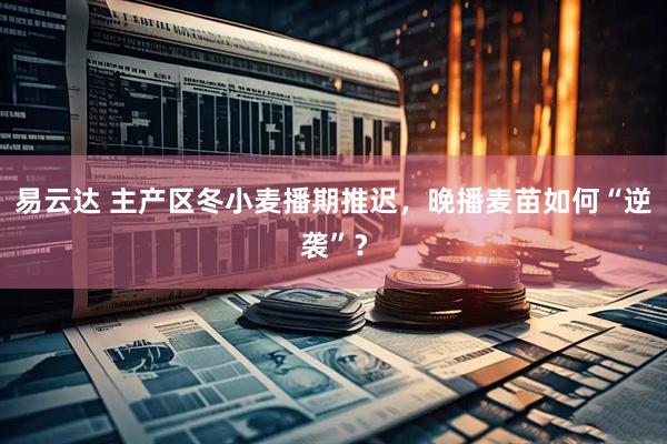 易云达 主产区冬小麦播期推迟，晚播麦苗如何“逆袭”？
