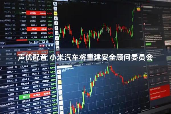 声优配音 小米汽车将重建安全顾问委员会