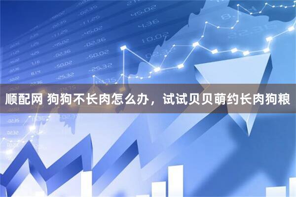顺配网 狗狗不长肉怎么办，试试贝贝萌约长肉狗粮